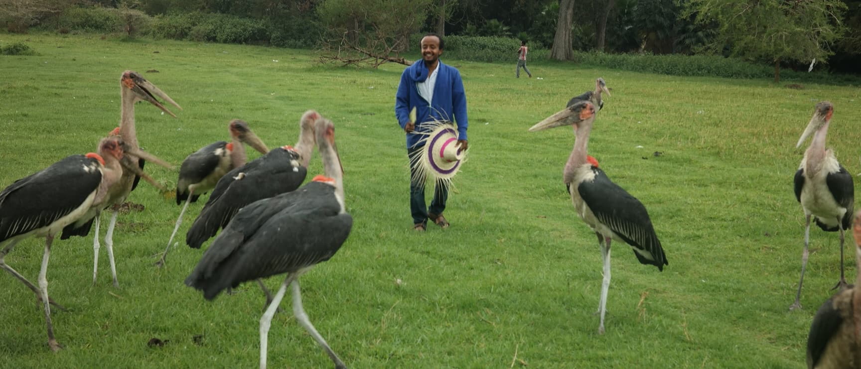 Semere walking among marabou storks in a park in Addis Ababa