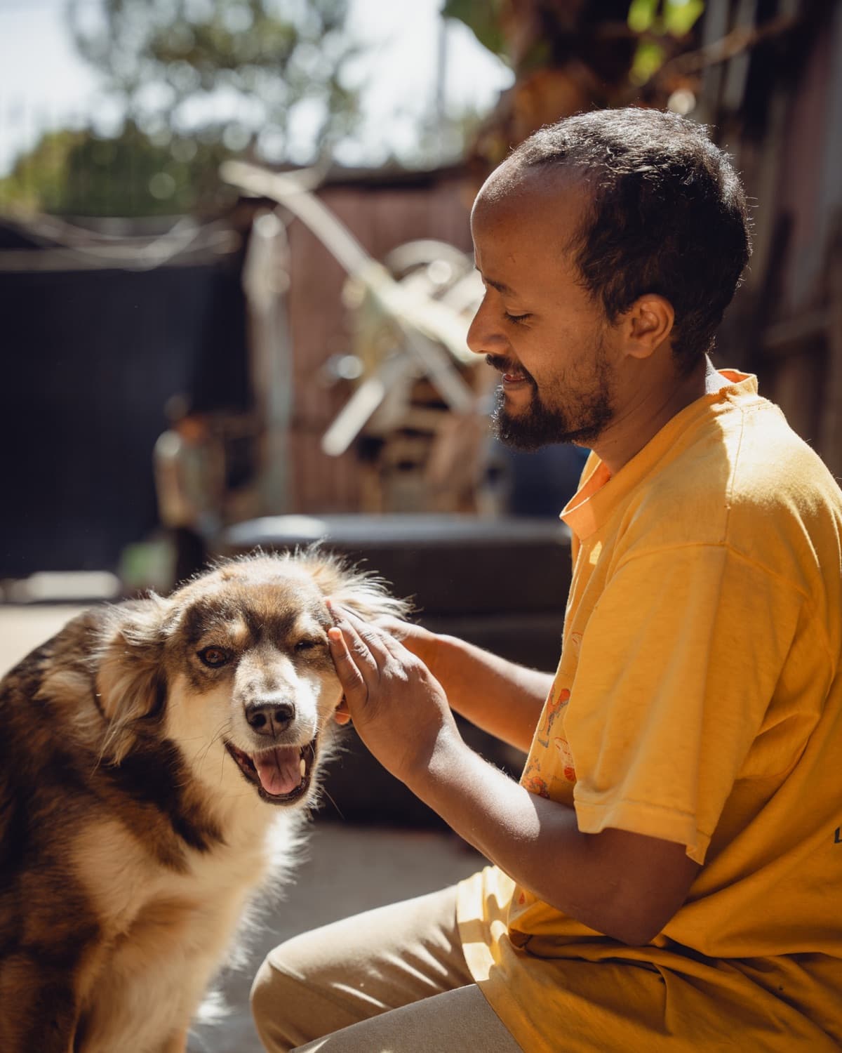 Semere greeting one of his dogs in the sun